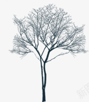 摄影合成效果大树树苗png免抠素材_新图网 https://ixintu.com 合成 大树 摄影 效果 树苗