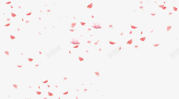 粉色漂浮情人节花瓣png免抠素材_新图网 https://ixintu.com LOVE 婚庆 情人节 浪漫 漂浮花瓣 爱情 粉色花瓣