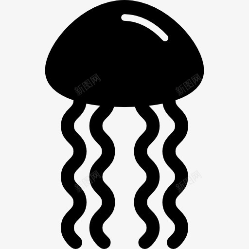 SeaJellyfish图标png_新图网 https://ixintu.com invertebrated 动物 危险 海洋 海滩 热带海洋生物