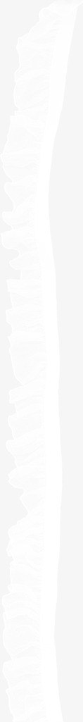 蕾丝png免抠素材_新图网 https://ixintu.com 帘纱 漂浮 白纱 薄纱