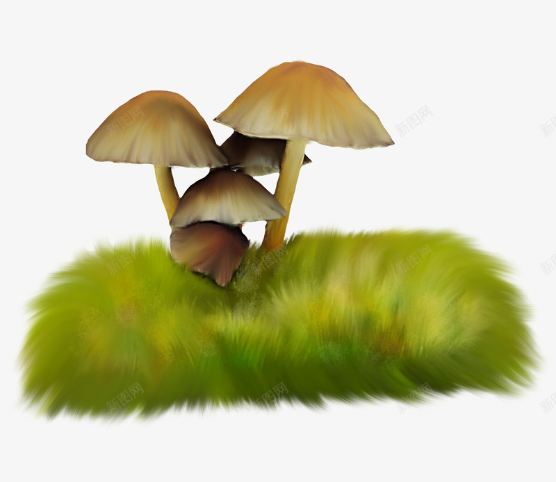草丛蘑菇png免抠素材_新图网 https://ixintu.com 小草 棕色蘑菇 草丛 蘑菇