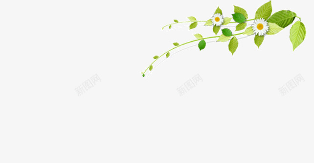 绿叶上的小白花png免抠素材_新图网 https://ixintu.com 清新 白花 绿叶 自然 舒适