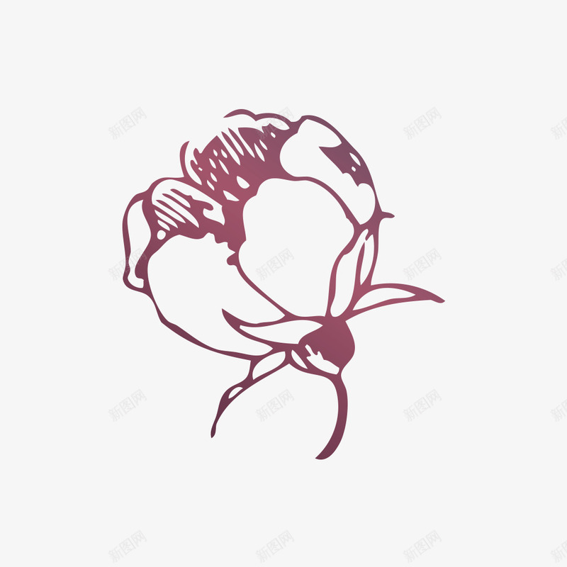复古花纹png免抠素材_新图网 https://ixintu.com 分割线 古典花边 复古花纹 玫瑰纹身 玫瑰花 纹样图片 线条样式 边框欧式