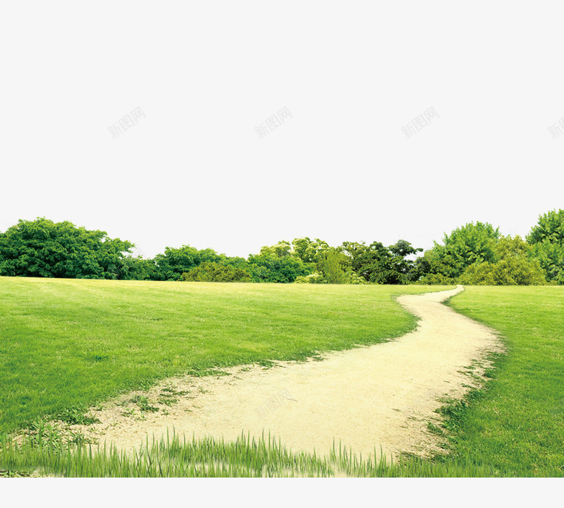 花草草坪道路psd免抠素材_新图网 https://ixintu.com 环保 绿色 花草 草坪 道路