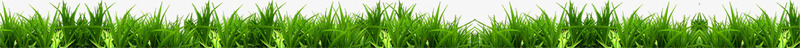 绿色春天草地植物景色png免抠素材_新图网 https://ixintu.com 春天 景色 植物 绿色 草地