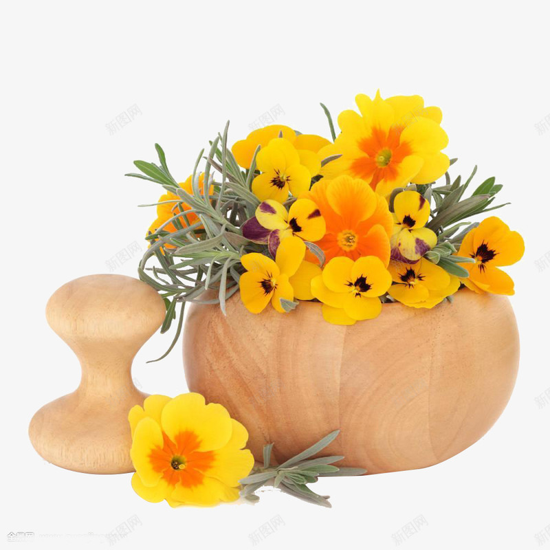 木质花盆里的黄色小花朵png免抠素材_新图网 https://ixintu.com 摆件 木质花盆 盆栽 绿植 美丽的 花卉 装饰