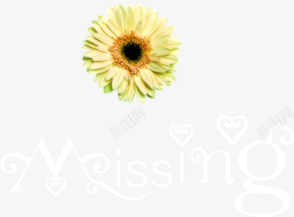 漂亮美丽花朵遇见艺术字母png免抠素材_新图网 https://ixintu.com 字母 漂亮 美丽 艺术 花朵 遇见