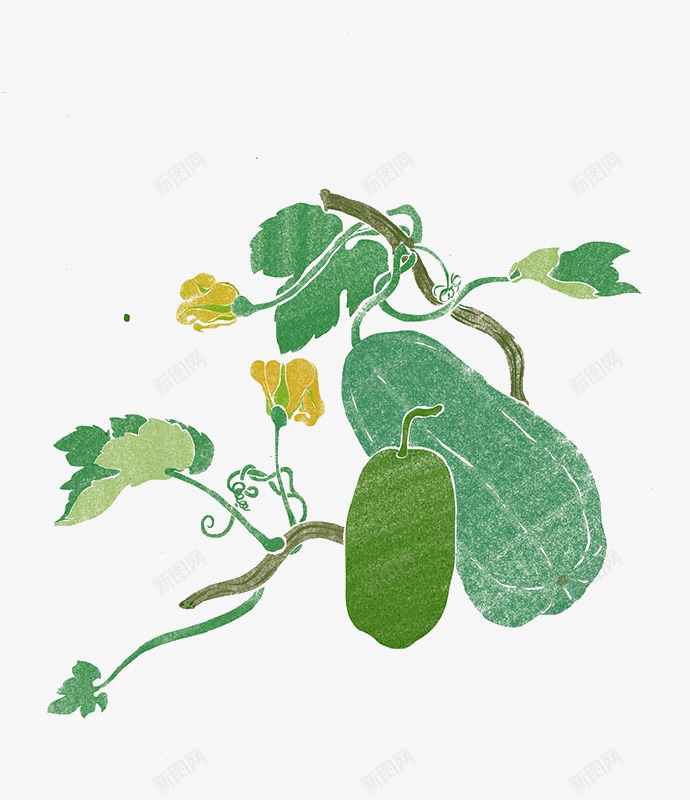 手绘水彩冬瓜png免抠素材_新图网 https://ixintu.com 手绘 手绘冬瓜 插画 水彩 水彩冬瓜