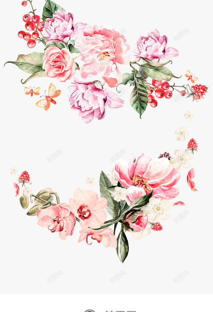 手绘水彩美丽花朵花卉牡丹png免抠素材_新图网 https://ixintu.com 唯美花卉 图集 布料印花 水彩牡丹 牡丹纹 牡丹花卉 粉色花朵 装饰图案 贴纸