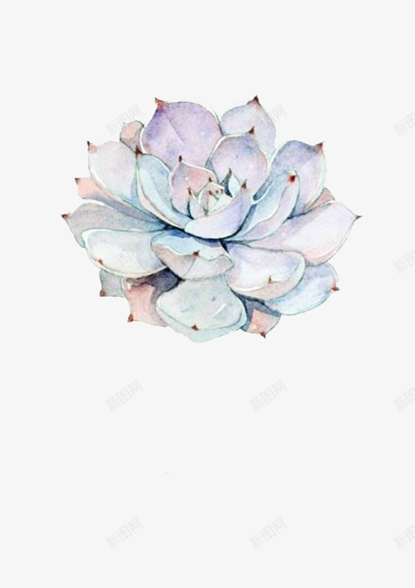 美丽蓝莲花png免抠素材_新图网 https://ixintu.com 手绘 植物 水彩 花朵
