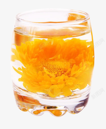 金盏花茶png免抠素材_新图网 https://ixintu.com 产品实物 冲泡 干花瓣 花茶 金盏花 饮品