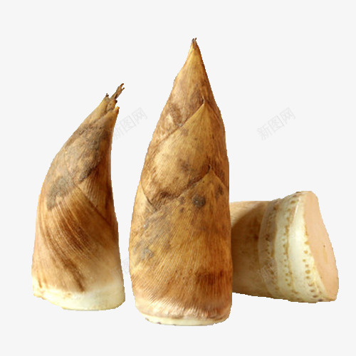 冬笋产品png免抠素材_新图网 https://ixintu.com 产品 冬笋 笋子 食品