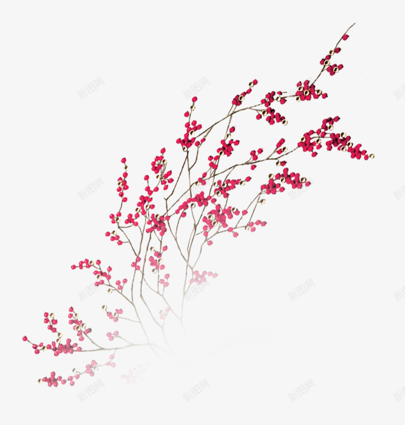 漂浮花瓣气泡简洁大方树叶树丛png免抠素材_新图网 https://ixintu.com 可爱 树丛 树叶 气泡 漂浮 简洁 花瓣 边框