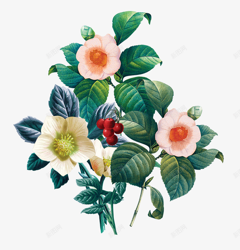 手绘画美丽花朵装饰psd免抠素材_新图网 https://ixintu.com 手绘树叶 手绘画 手绘花朵 手绘花草 树木植物 花朵装饰