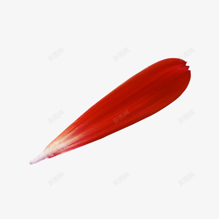 花瓣漂浮物png免抠素材_新图网 https://ixintu.com ps动态素材 动态漂浮物素材 彩色 漂浮气泡 漂浮物 红色漂浮 花瓣元素 花瓣漂浮物
