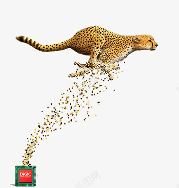 猎豹png免抠素材_新图网 https://ixintu.com 分解 动物 奔腾 漂浮 猎豹头 碎片 豹头 豹子