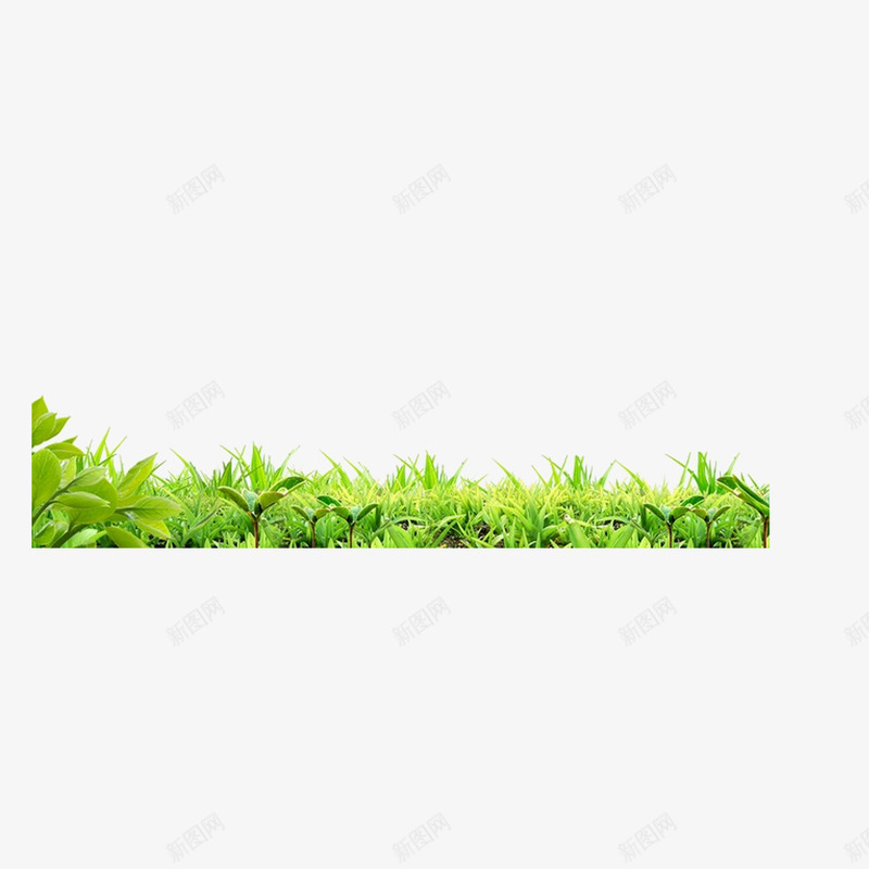 绿色青草地装饰png免抠素材_新图网 https://ixintu.com 环保 绿色 装饰 青草地
