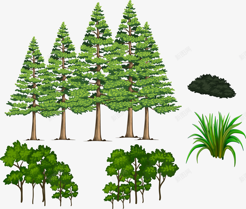 植物松树灌木小草png免抠素材_新图网 https://ixintu.com psd灌木png免费下载 松树 植物 植物矢量 灌木 矢量植物 矢量素材 素材