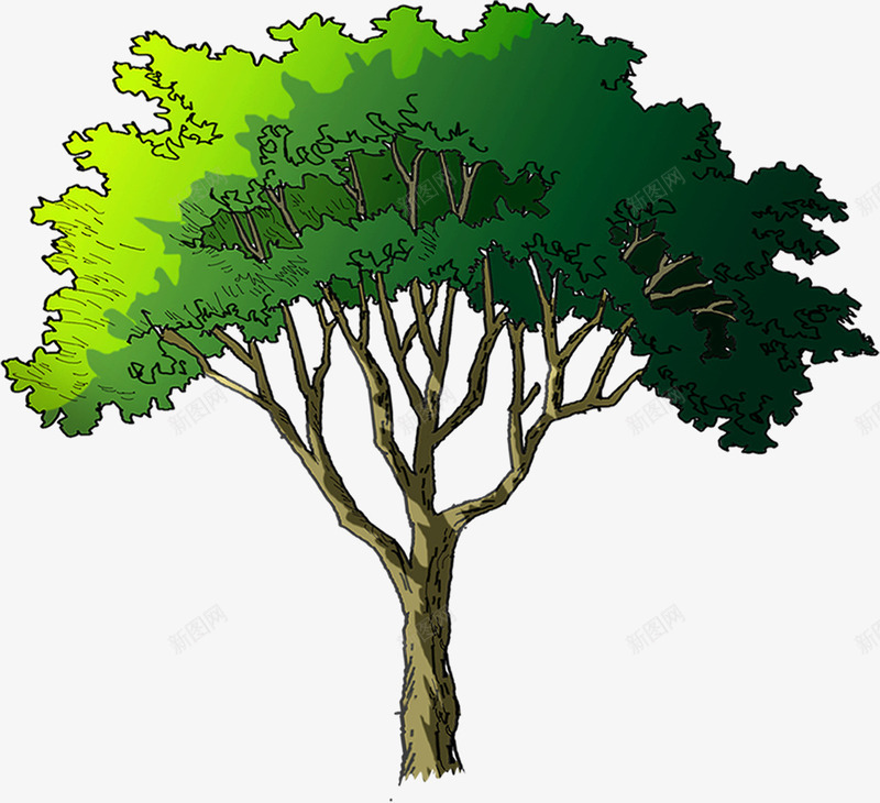 绿色手绘景观植物大树png免抠素材_新图网 https://ixintu.com 大树 景观 植物 绿色