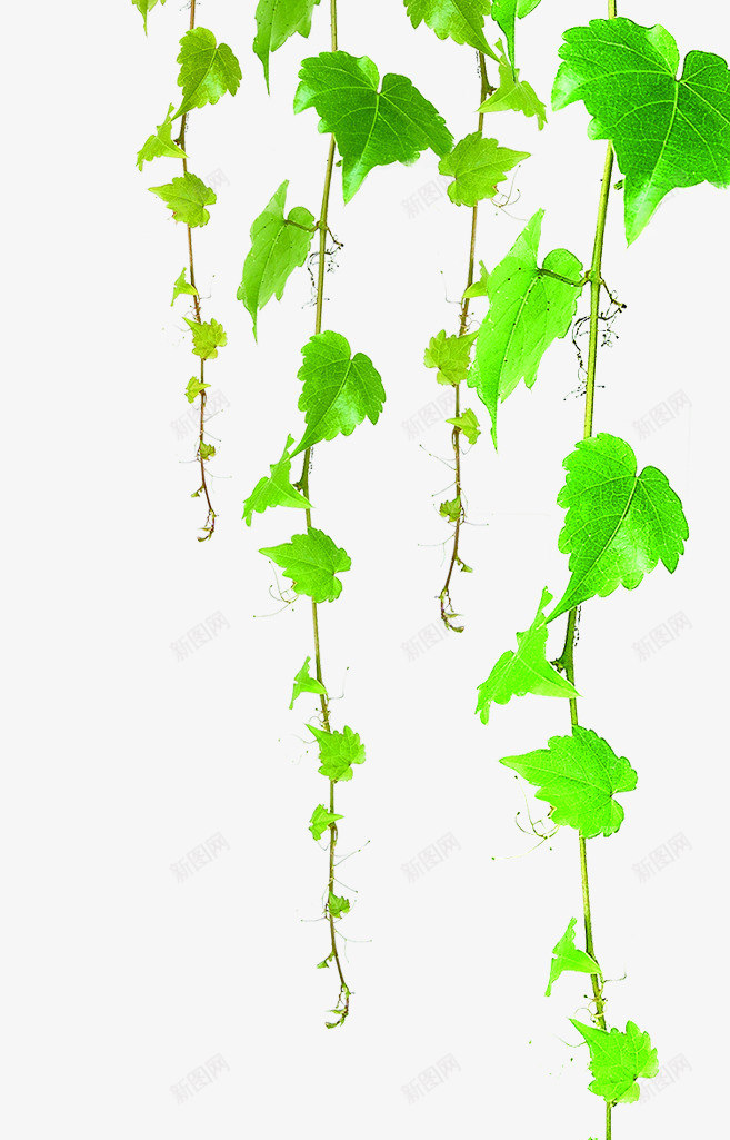 绿色卡通春天景色植物png免抠素材_新图网 https://ixintu.com 卡通 春天 景色 植物 绿色