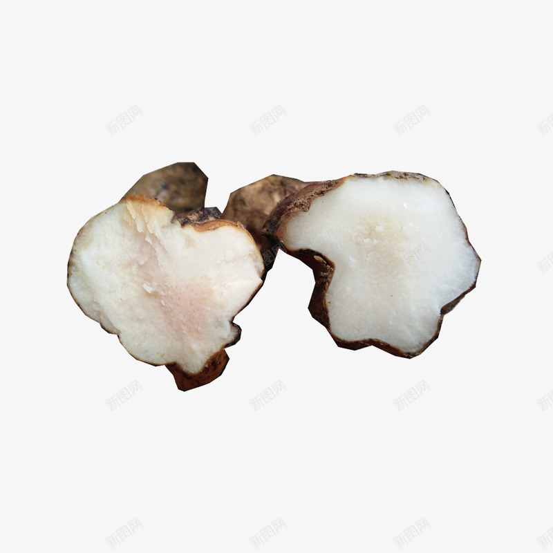 茯苓实物png免抠素材_新图网 https://ixintu.com 土茯苓 实物图 茯苓加工 茯苓块 茯苓茶 茯苓设计 茯苓饮食