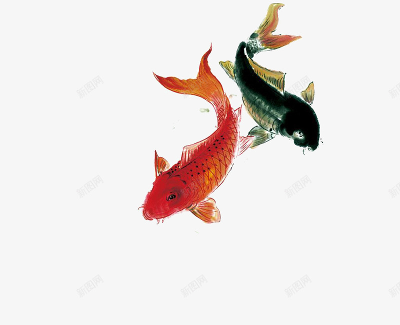 水墨彩绘鲤鱼psd免抠素材_新图网 https://ixintu.com 年年有余 年年有鱼 春节鲤鱼 红黑鲤鱼 鲤鱼