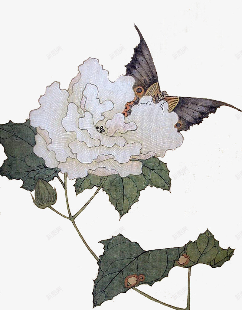 国画牡丹花png免抠素材_新图网 https://ixintu.com 国画 工笔画 漂浮素材 牡丹花 蝴蝶
