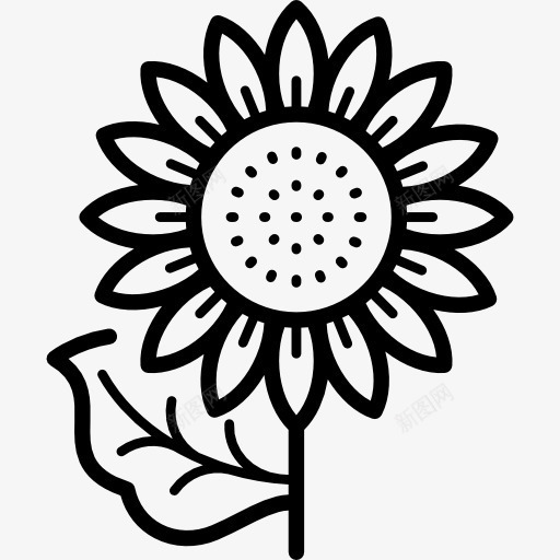 向日葵图标png_新图网 https://ixintu.com Liliaceae 公园 园林 园艺 自然 花卉