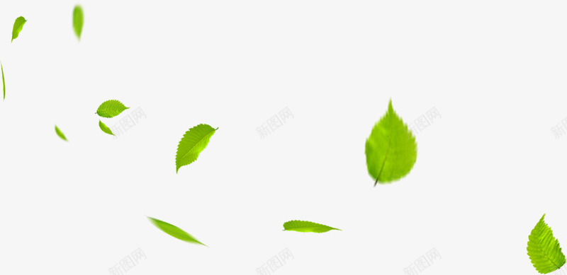 绿色卡通漂浮树叶装饰春天png免抠素材_新图网 https://ixintu.com 卡通 春天 树叶 漂浮 绿色 装饰