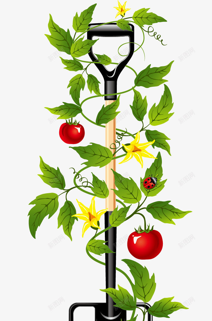 花园用具png免抠素材_新图网 https://ixintu.com 5 卡通小铁锹 花园用具矢量素材下载花园洒水壶丝瓜番茄铁锹铁叉精美鲜花 转换