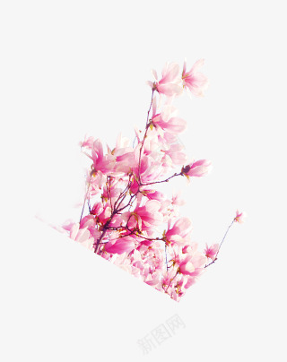 梅花花枝冬季装饰png免抠素材_新图网 https://ixintu.com 冬季 梅花 花枝 装饰