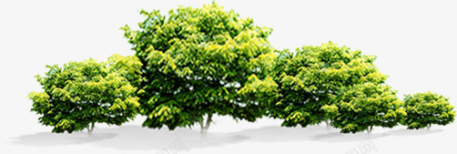 绿色园林环保绿化植物png免抠素材_新图网 https://ixintu.com 园林 植物 环保 绿化 绿色