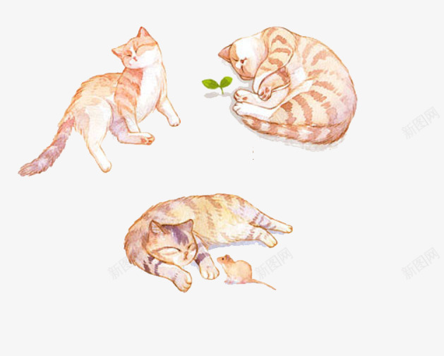 慵懒猫咪png免抠素材_新图网 https://ixintu.com 动物 卡通动物 可爱 小老鼠 慵懒 猫咪 老鼠生日 黄色纹身