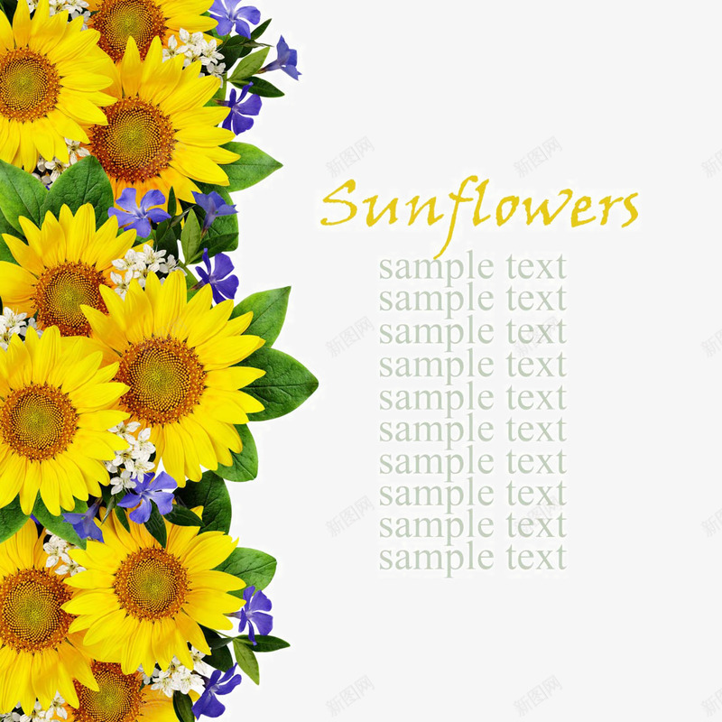 美丽的花朵花边png免抠素材_新图网 https://ixintu.com 彩色的花 漂亮花朵 绿叶和鲜花 美丽的花朵花边 美丽鲜花 花 花卉 花卉植物 花朵花草 花边花环 鲜艳花朵 鲜花 鲜花摄影