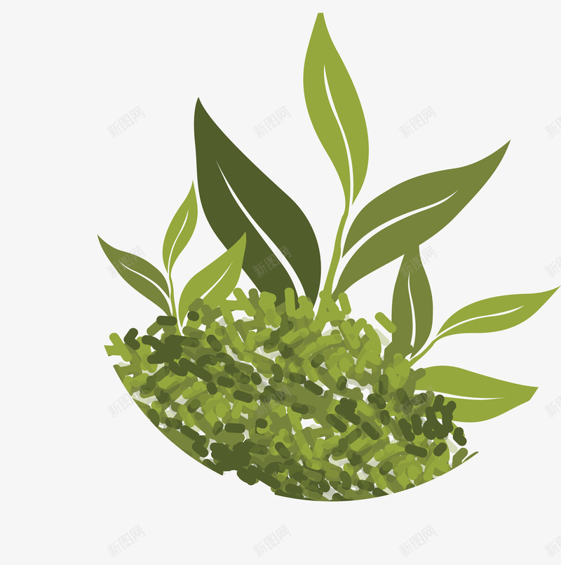 茶叶简笔画茶叶矢量图ai免抠素材_新图网 https://ixintu.com 乌龙茶茶叶 毛尖茶叶 白茶茶叶 碧螺春茶叶 竹叶青茶叶 绿色茶叶 茶叶漂浮 茶叶素描 茶叶线条 矢量图