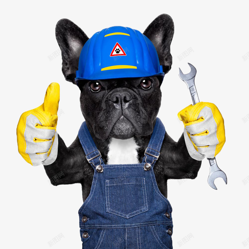 拿工具的黑狗狗png免抠素材_新图网 https://ixintu.com 宠物狗 扳手 拿工具的黑狗狗 狗狗 背带裤