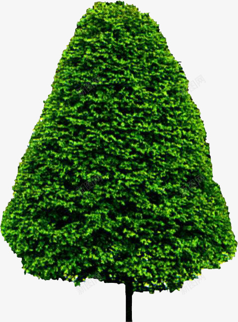 绿色植物树叶大树装饰png免抠素材_新图网 https://ixintu.com 大树 树叶 绿色植物 装饰