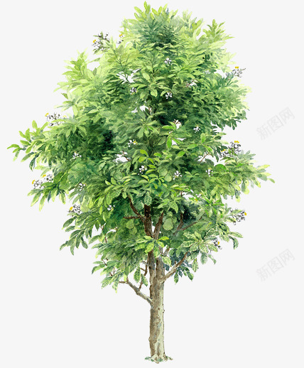 手绘绿色逼真大树树叶png免抠素材_新图网 https://ixintu.com 大树 树叶 绿色 逼真