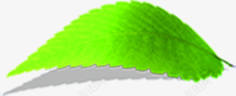 绿色清爽春天树叶景色png免抠素材_新图网 https://ixintu.com 春天 景色 树叶 清爽 绿色