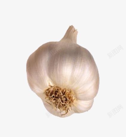 卡通食物图标调料蒜png_新图网 https://ixintu.com 手绘蔬菜图片 手绘食物 蒜 蔬菜 调料 食物图片 食物矢量图