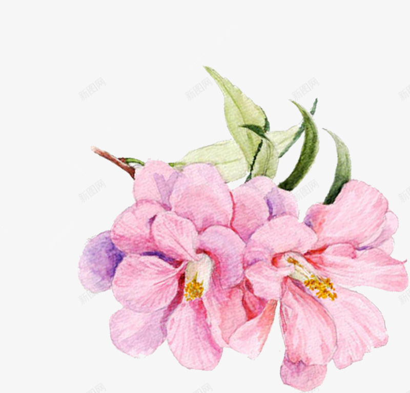 紫色水彩美丽花朵png免抠素材_新图网 https://ixintu.com 春天 春季 春日 植物 水彩花朵 美丽花朵 自然