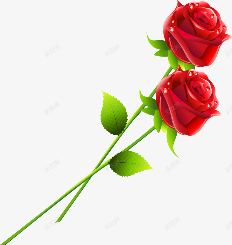 红色娇艳美丽玫瑰png免抠素材_新图网 https://ixintu.com 娇艳花朵 婚姻 婚庆 浪漫 爱情 玫瑰 花束 鲜花