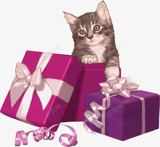 小猫咪守礼物png免抠素材_新图网 https://ixintu.com 动物 可爱 小猫咪 彩带 礼物 祝福 节日 蝴蝶结