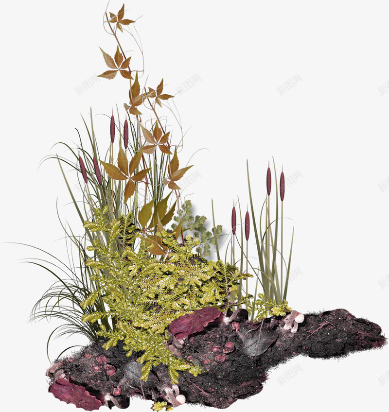 绿色植物森林河边装饰图案png免抠素材_新图网 https://ixintu.com 免抠PNG 森林 植物 河边 绿色 草丛 装饰图案