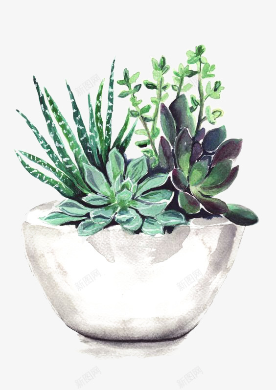 水彩盆景png免抠素材_新图网 https://ixintu.com 创意盆景 多肉植物 盆景装饰 盆架 绿色植物
