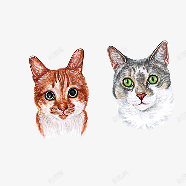 可爱动物小猫咪png免抠素材_新图网 https://ixintu.com png图片 动物 可爱 宠物 小猫咪