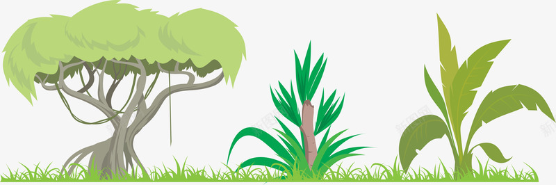 亚马逊雨林的茂密植物png免抠素材_新图网 https://ixintu.com 亚马逊 亚马逊森林 亚马逊雨林 森林 茂密 雨林
