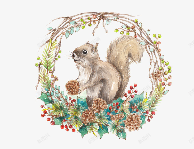 手绘插画矢量图ai免抠素材_新图网 https://ixintu.com 动物 松子 松鼠 植物 矢量素材 绿叶 矢量图