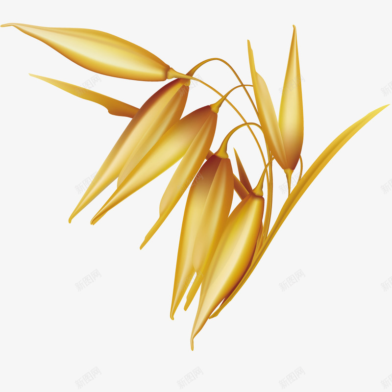 秋季丰收稻谷矢量图ai免抠素材_新图网 https://ixintu.com 加工品 种子 稻谷 谷物 矢量图