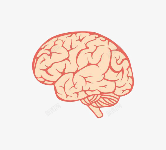 创意大脑png免抠素材_新图网 https://ixintu.com 人脑图 大脑 大脑免扣PNG 大脑插画 大脑装饰 脑子 脑浆 设计感